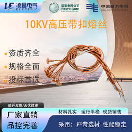 35-40.5KV户外高压跌落式熔断器开关代扣保险熔丝3A-200A厂家直供