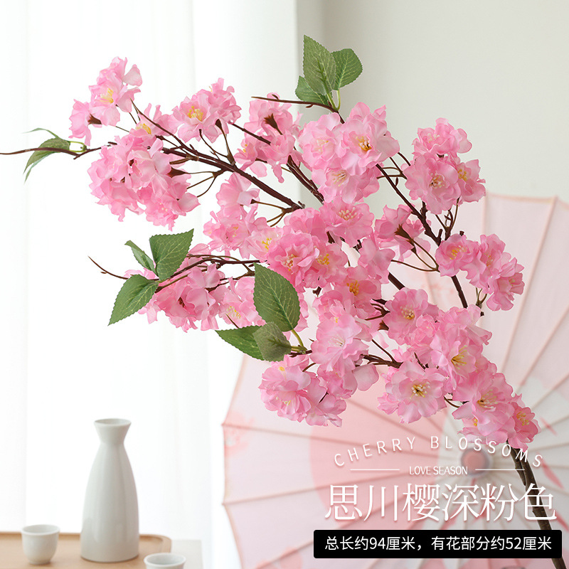 쓰촨 사쿠라 다크 핑크