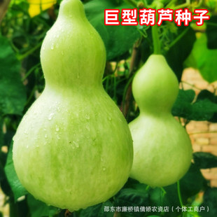 ���ͺ��J�N���ش���J���������̨ͥԺ�׷N�����^�p���J�ѷN��