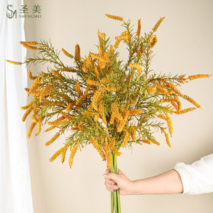 ������β��ëë�ݹ����b������K�ݻ�c�zӰ�������z���ٻ��羳