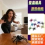 万圣节仿真定制密室大蜘蛛