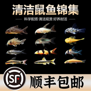 ��̦�������~�����Ꭷ�^�p�~�׻��w����ԼS�������坍�~�����~