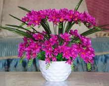 ����ѩ�m�ٻ��b�Ʒ�������b�҃Ȕ[�Ż�ˇ�ӼҾƵ��b�ޔ[��