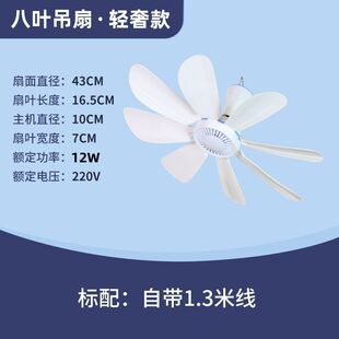 С���ȌW�������L���Î��o�������������������L�ȴ��L��