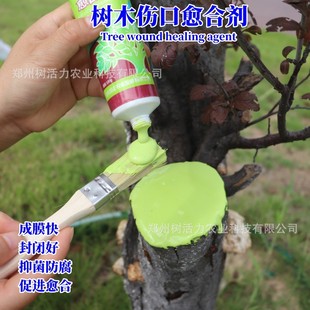 ��ľ�������τ��TĨ��䏿ډT�a������޽ӉTĤ�����������Ƥ�ޏ�