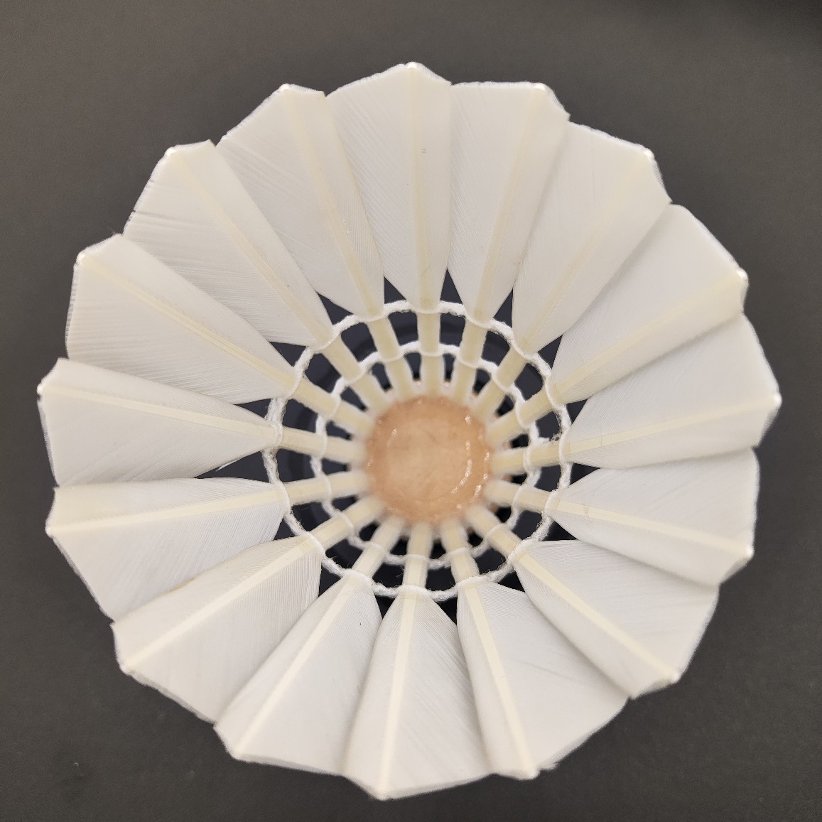 Unbranded Replacement Shuttlecock for Badminton, Stable and Durable for Training and Competition, Made by a Major Manufacturer