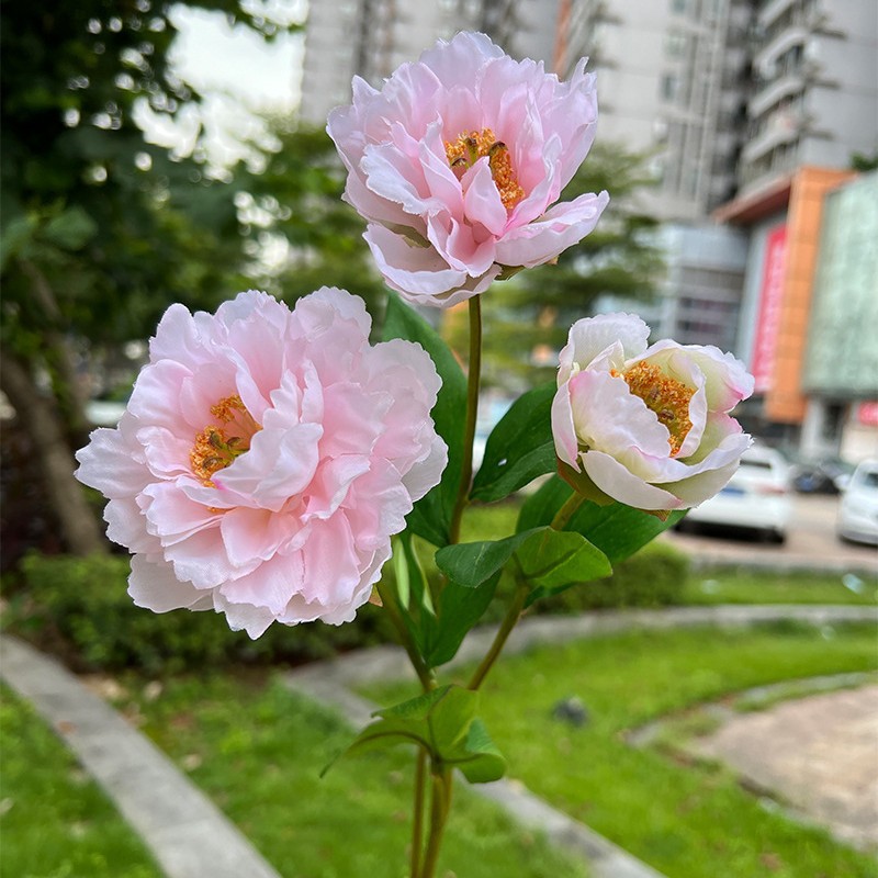 Simulación del Día de San Valentín rosa fabricante 3 sola rama multi-cabeza rosa decoración de la boda flor falsa al por mayor