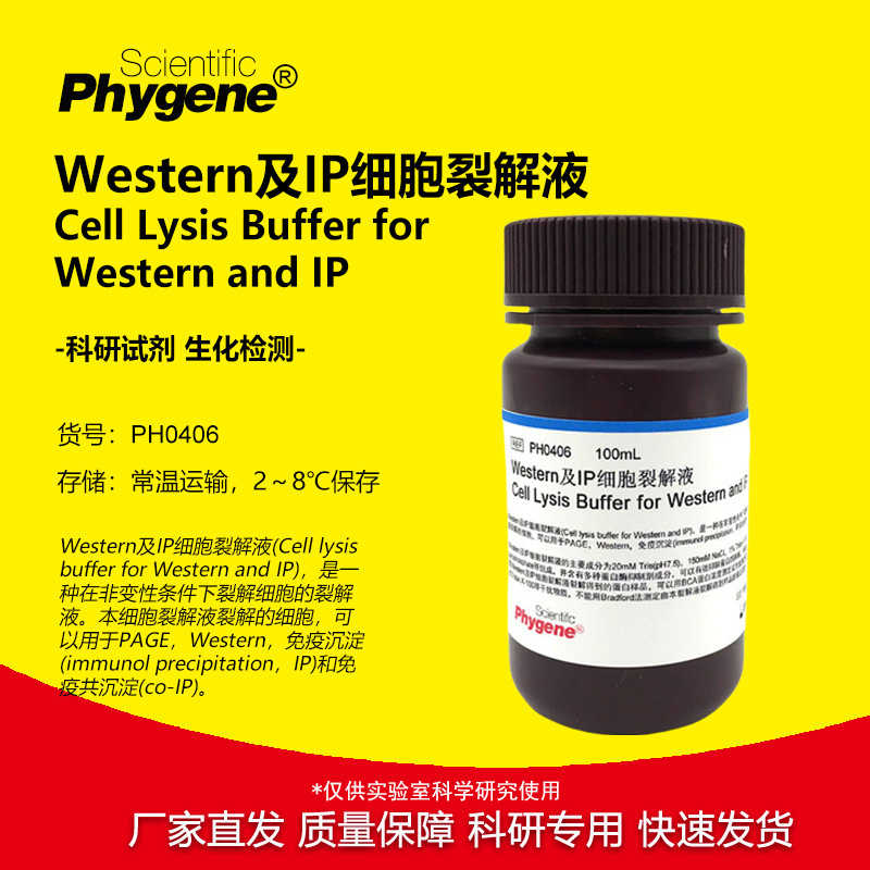 Western及IP细胞裂解液 附送PMSF 100mL [PH0406 PHYGENE]