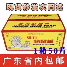 达豪粘鼠板A1#标准型强力大老鼠贴鼠胶50片装限广东省包邮杀虫