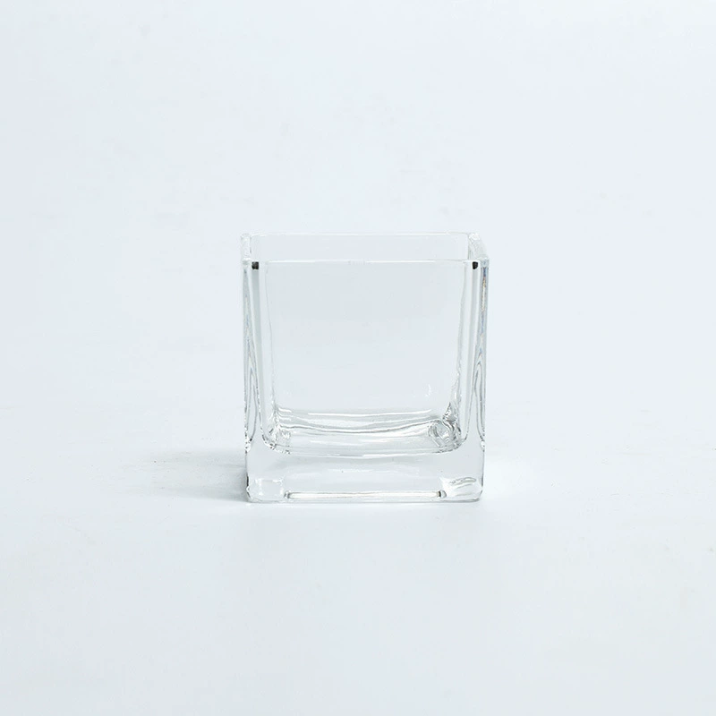 Прямые поставки с фабрики: вазы для суккулентов, оптовые квадратные стеклянные банки, изделия ручной работы, подарки для бонсай, индивидуальные микроландшафты.