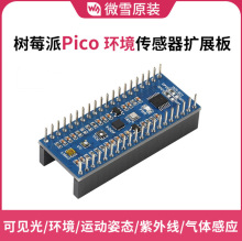 ΢ѩ��ݮ��PICO�h���������Uչ�� �t�����⾀ ���w�h����Ҋ��Б�