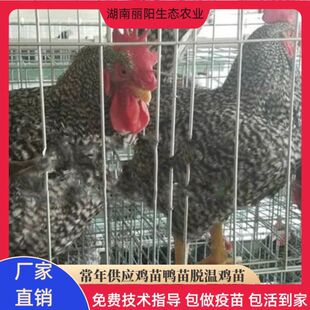 �����S���l�u����w��N���J���u�����а��J���u�r���J���u���u��