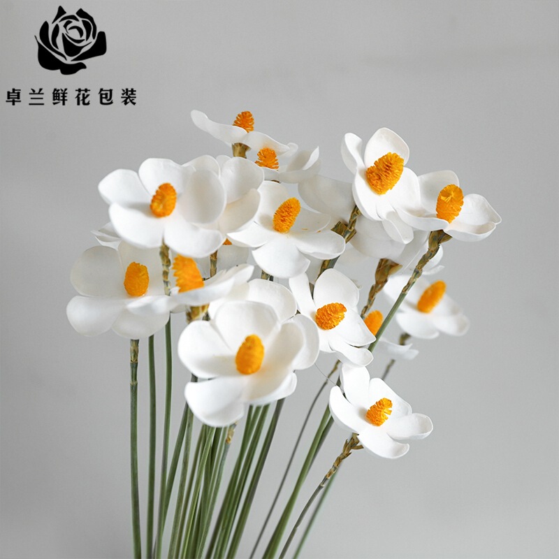 Zhuolan Eva Violet Dried Flower Artificial Flower Five-Petal Flower Immortal Flower Floral Packaging DIY Accessories Flower Arrangement Decoration