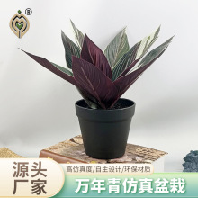 ����Gֲ����ֲ�������҃��b��f������滨ˇ����[���f��������