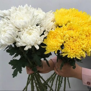 �S�׾ջ���������r�л�����ֱ�l�׾��S���r��ֱ����Ĺ�ω�������