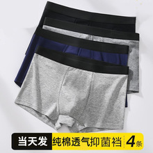 包邮特价男士四角内裤50支棉质透气中腰青年成人短裤头男生平脚裤
