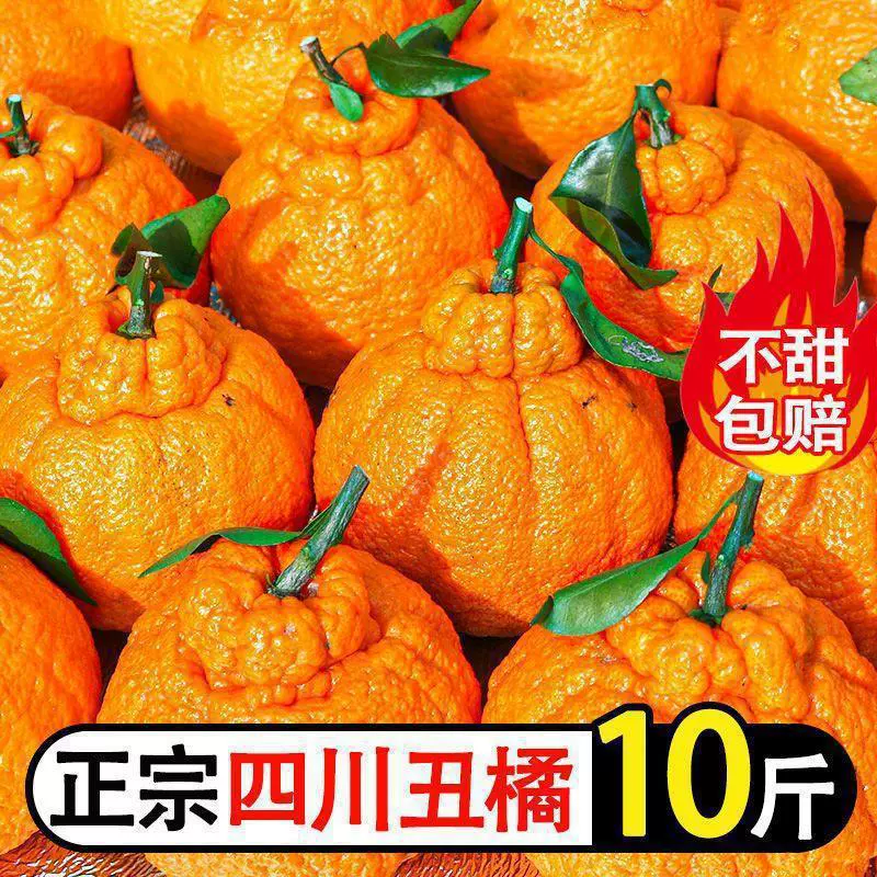 Ugly Orange Sichuan Navel Mandarin 不知火 Свежие фрукты Апельсин Super Sweet Navel Mandarin Non-Wo Mandarin Оптовая продажа