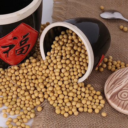 in stock wholesale cooking bean products raw materials soybean milk tofu raw materials 40kg can be wholesale northeast soybean
