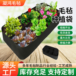 �羳ë�ַNֲ���L�����߲����L����񻨻܈A�֠I�B��ë�ַNֲ��