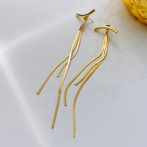 Metal tassel earrings for women summer long Korean style high-end earrings ins cool style niche design earrings