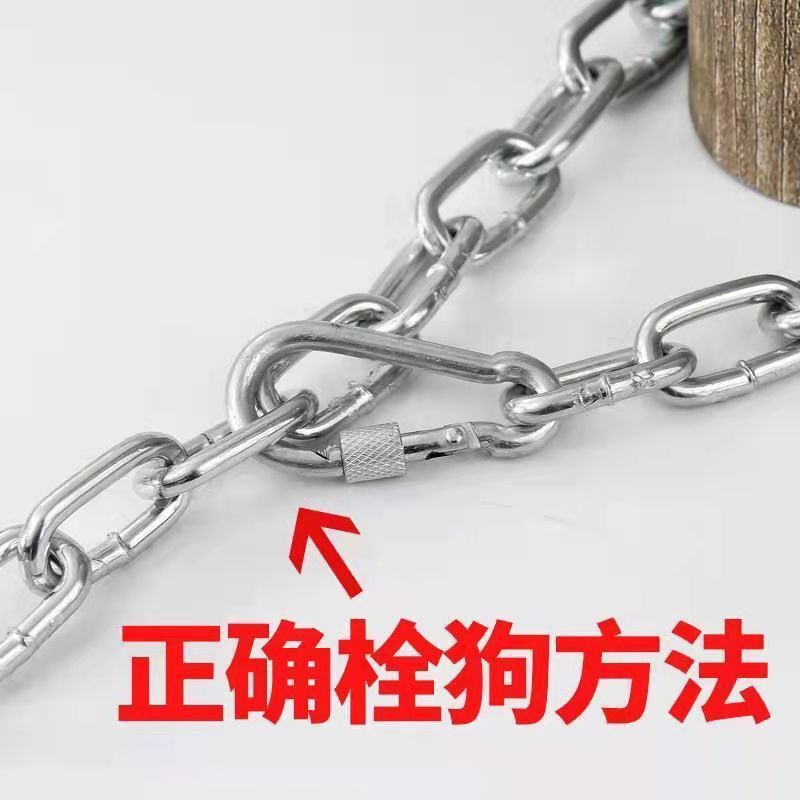 噛みつき防止犬用リード、拡張防錆犬用チェーン、犬用チェーン首輪、鉄チェーン犬用リード|undefined