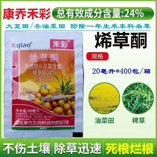 ���̺̲�24%ϩ��ͪ����20���� ���l�Ͳ˴����̱����s�ݳ��݄�