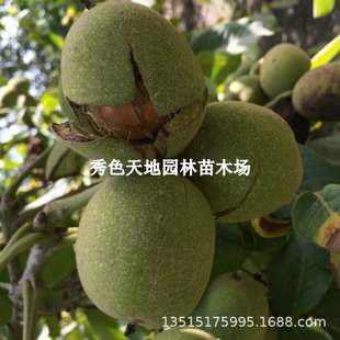 ������娺�������ϴ�����娴��ݼ�Ƥ���Ҽ޽Ӻ����箔��Y������