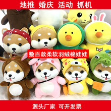 �ɐ۴��^�����ϻ��{��8��ץ�C���ގ����P���еؔ�ë�q��ߏS����