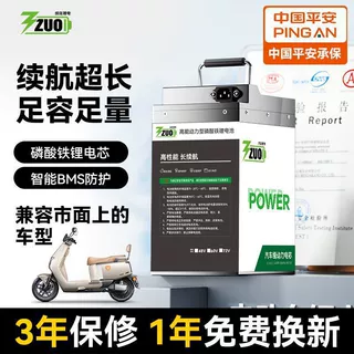 国标两轮电动车48V锂电池外卖快递专用通用型60V铁塔电瓶外贸