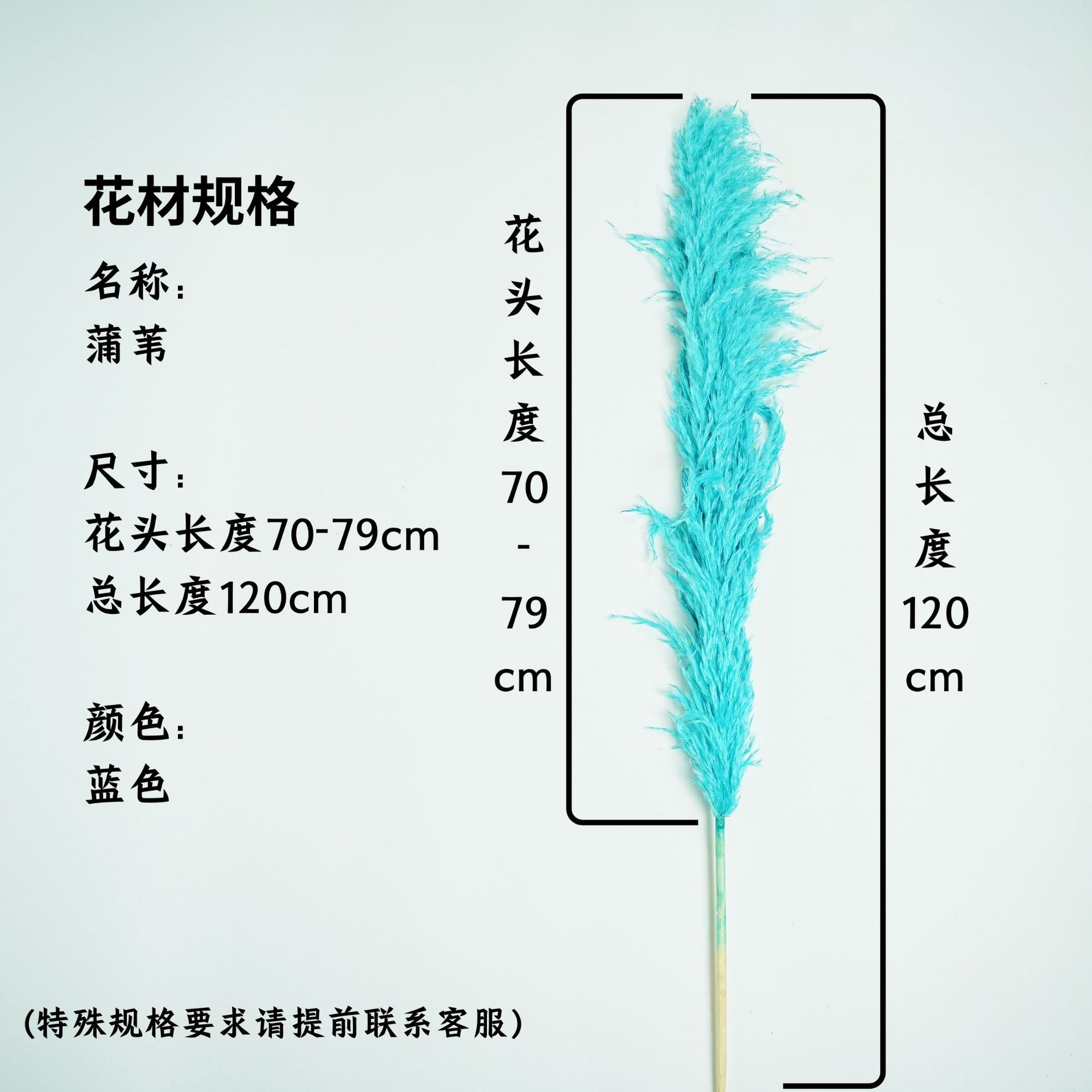 꽃머리 70~79cm 블루