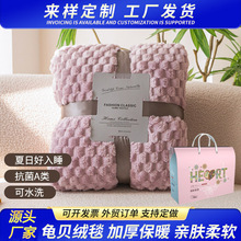 十字街加厚金龟绒毛毯龟背绒多功能午睡毯学生珊瑚绒盖毯床单可定