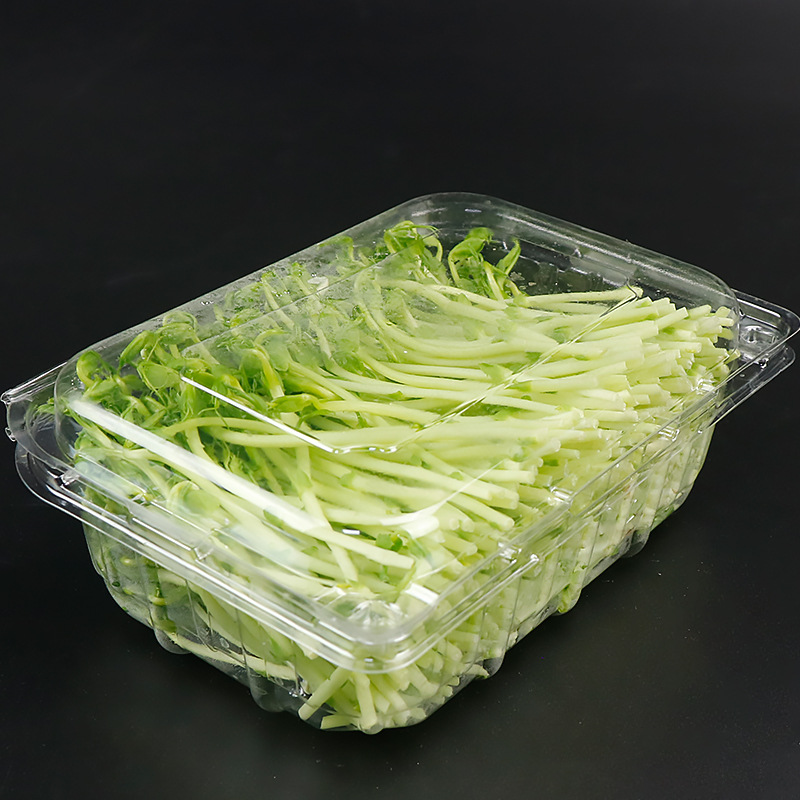 蔬菜盒36