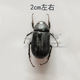 other product image