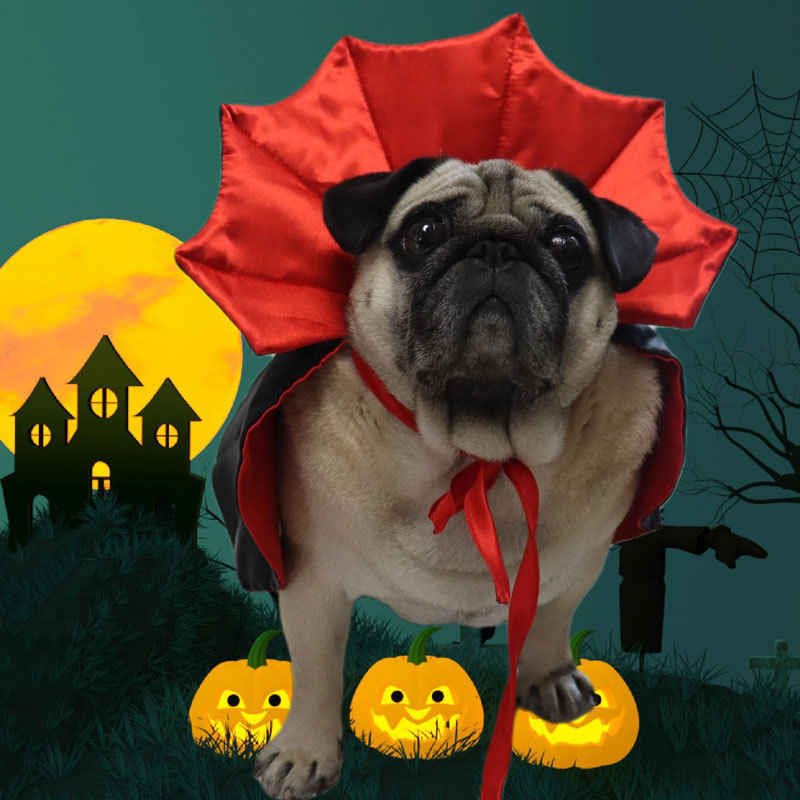 New Halloween Pet Cat and Dog Cape Decorations, Transformed into Witch Clothes, Festive Funny Accessories