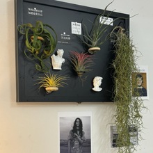 늱ڰDIYړ䠝ڳ՚PinsL