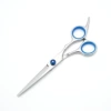 X-Blue Screw Flat Scissors