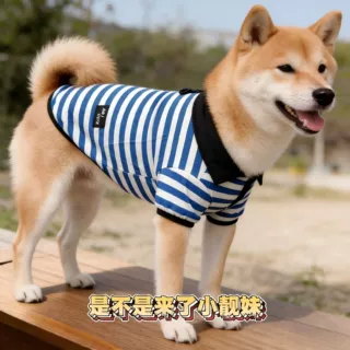 跨境热销宠物衬衫小中型犬猫咪法斗适用春夏四季百搭狗狗衣服用品