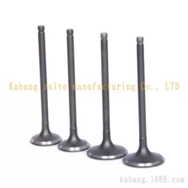 气门及部件;气门部件;油封