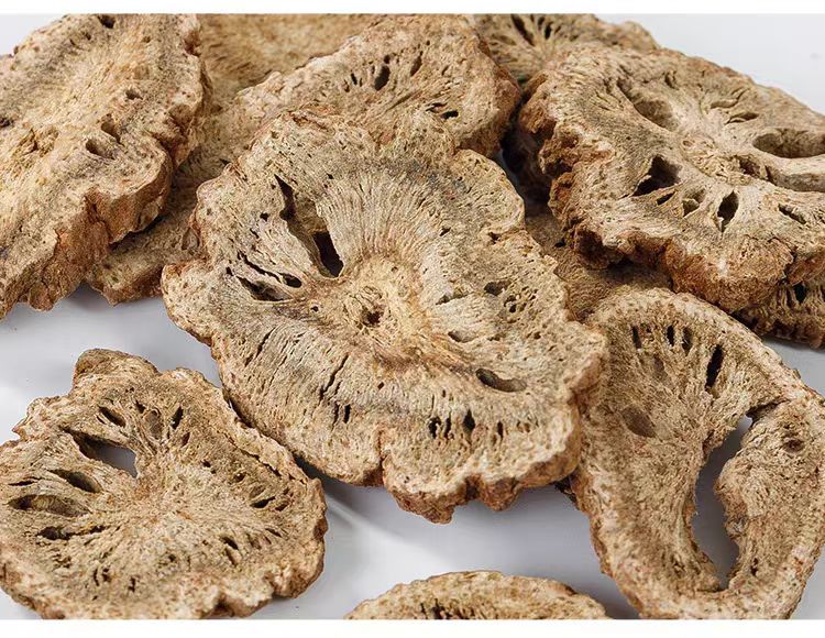 Mu Xiang (Aucklandia lappa) — Dried Costus Root for TCM Cooking & Spice Blends details