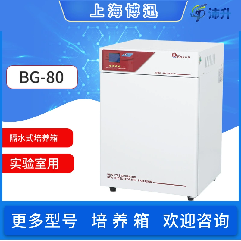 Shanghai Bosun BG-80 водонепроницаемый Электротермический инкубатор с постоянной температурой программируемый инкубатор для семян с постоянной температурой Лаборатория