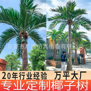 �������Ҭ�Ә� ���͑���٘� �����V���خa���^�������D����