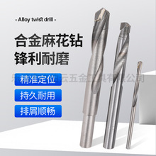 高硬度合金麻花钻头 钻铁打孔工具 直柄高速手电钻铸铁金属开孔钻