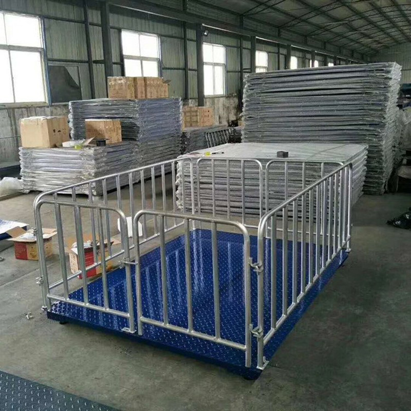 1.5mx2m带双面开门3000kg畜牧动物电子地磅2吨牲畜活禽称重围栏秤