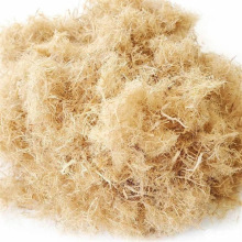 �ɶ�ľ�w�S ���w�S �����G������ SPFľ�w�S ߅�¾G��ľ�w�S