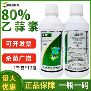 �\��80%��������������������ή��ݲ�����̦���漚���rș������