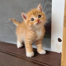 ��؈������@؈�ٰ�؈��؈����؈��ţ؈��؈���w�����ٰ�؈���؈