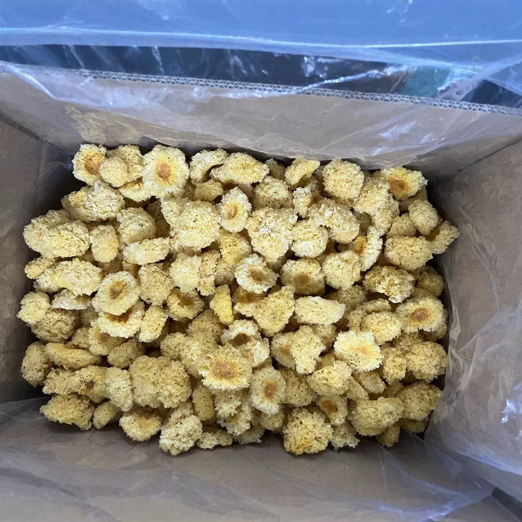 鑫榕钰    古田椴木小银耳金黄色 食用菌源头产地批发