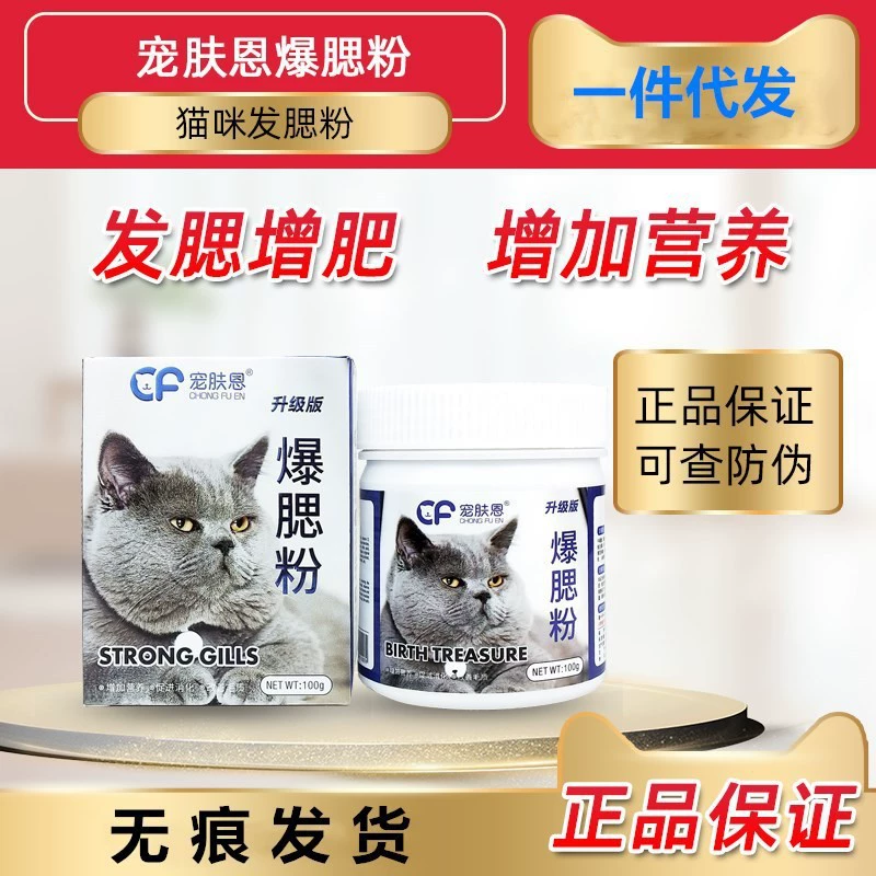 Уход за кожей домашних животных, пудра для щек кошек, красота волос Ragdoll, взрывная пудра для волос котенка, британская короткошерстная кошка, Гарфилд, мужская пудра для щек кошек