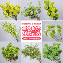 ��c���Gֲ�����b��߾Gɫɭϵ���Ļ�������·���������l