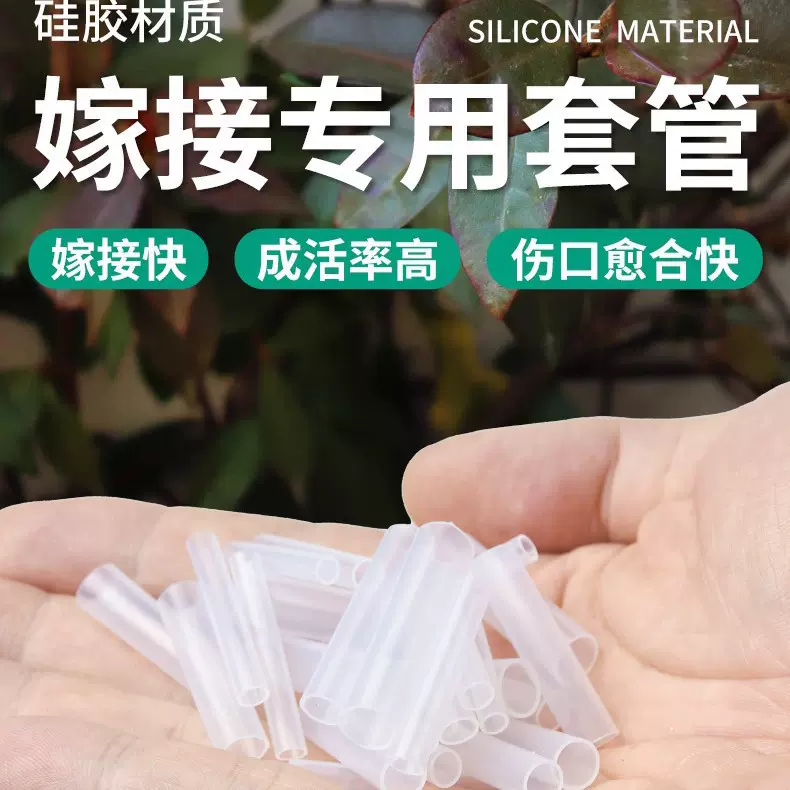 现货批发蔬菜果树硅胶嫁接套管园艺花卉百香果嫁接套管成活率高